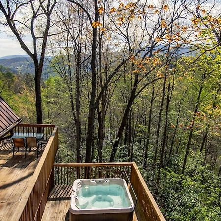 Bear View Chalet With Hot Tub And Near Ober Gatlinburg Dış mekan fotoğraf
