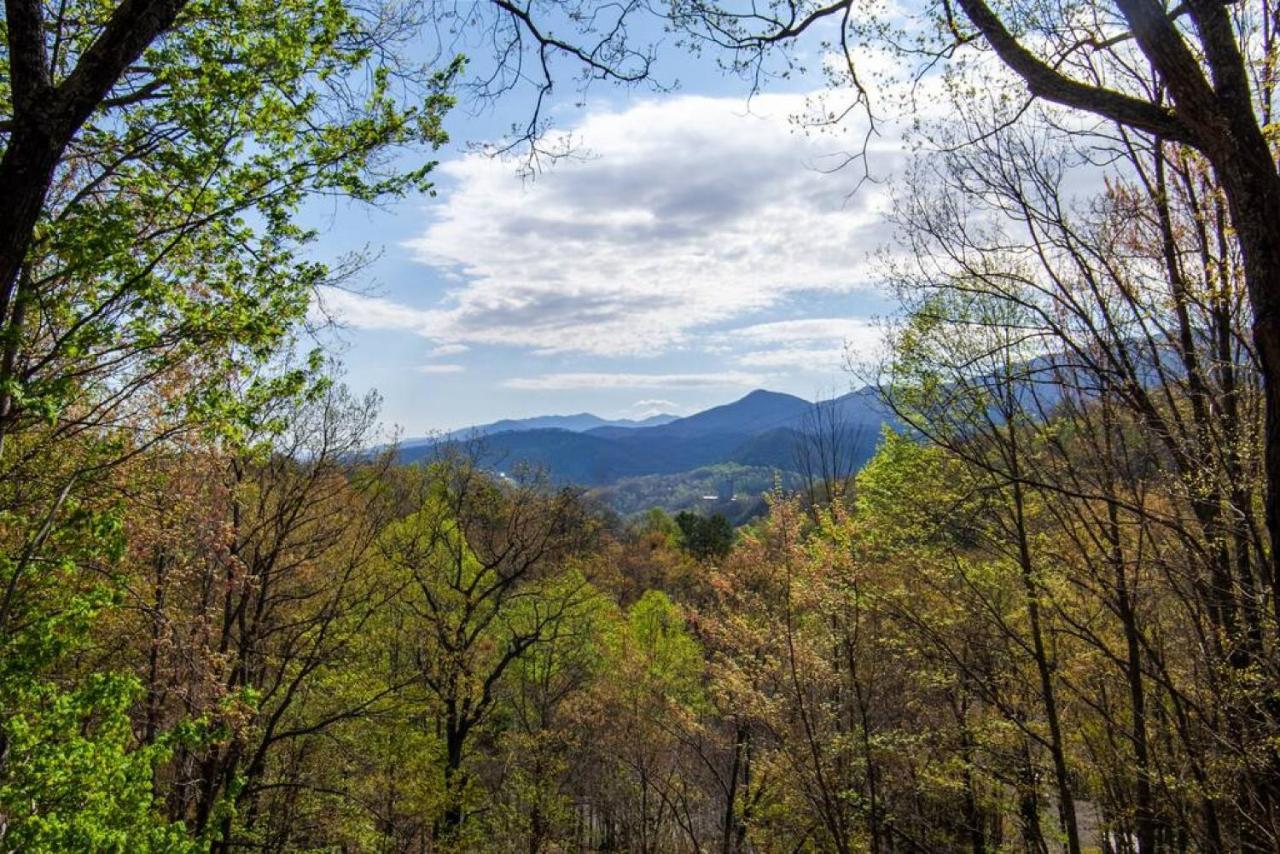 Bear View Chalet With Hot Tub And Near Ober Gatlinburg Dış mekan fotoğraf