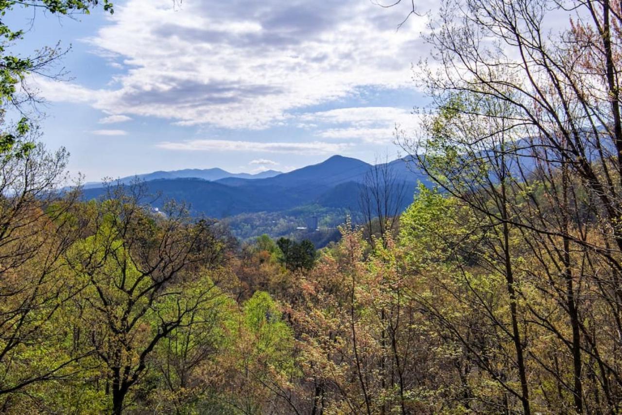 Bear View Chalet With Hot Tub And Near Ober Gatlinburg Dış mekan fotoğraf